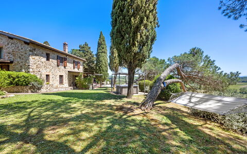 Capanna al Lago, Chianti Heritage in Vineyards: Tree, Garden, Estate, Landscaping, Farmhouse, Villa, Evergreen, Pine Family