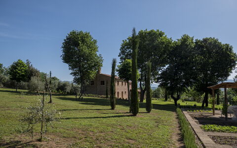 Villa Cortona: Eco-Sustainable Luxury Estate with: Grass, Tree, Grassland, Plain, Shrub, Land Lot, Rural Area, Trunk