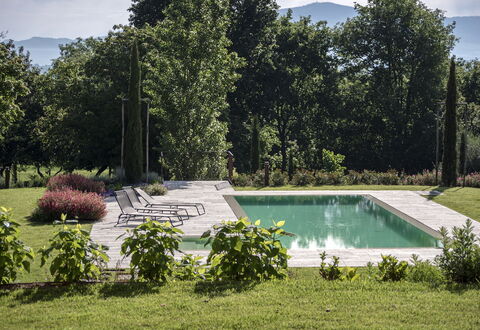 Villa Cortona: Shrub, Garden, Swimming Pool, Landscaping, Backyard, Shade, Lawn, Flagstone, Yard, Outdoor Furniture