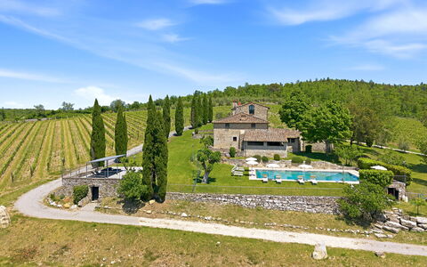 Villa del Chianti: Vineyards & View: House, Home, Estate, Cottage, Farmhouse, Garden, Landscaping, Villa, Yard, Village