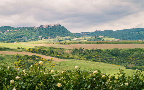 Villa Petrosa: Your Private Escape Overlooking the: Green, Vegetation, Natural Landscape, Hill, Grassland, Landscape, Rural Area, Plantation, Plain, Field