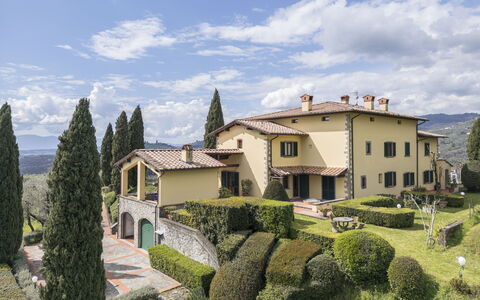 Villa Alessia Luxury: Garden, Estate, Landscaping, Villa, Mansion, Hedge
