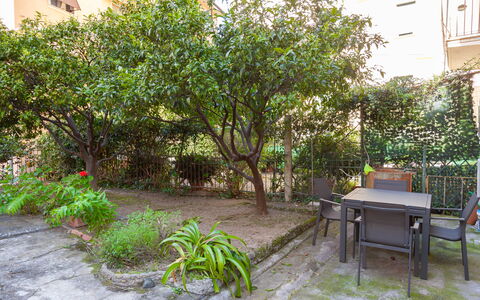 La Casa Dei Mandarini: Leaf, Shrub, Garden, Spring, Woody Plant, Shade, Backyard, Yard, Landscaping, Courtyard