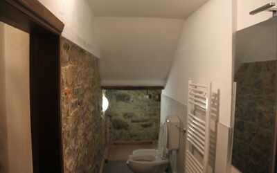 Accommodation:&nbsp;Ettore