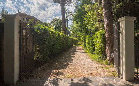 Casa Carla: Leaf, Green, Nature, Vegetation, Shrub, Garden, Sunlight, Shade, Spring, Trail