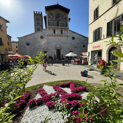 Anna: Building, Window, Town, Facade, Flowerpot, Umbrella, Outdoor Table, Outdoor Furniture, Town Square, Houseplant