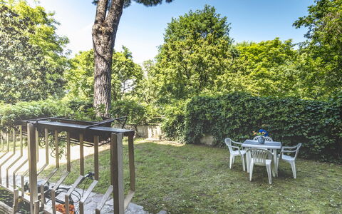 Suite Vogel: Leaf, Shrub, Garden, Shade, Spring, Sunlight, Backyard, Lawn, Landscaping, Yard