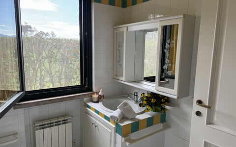 Green Hills 13: Plumbing Fixture, Sink, Bathroom Sink, Interior Design, Tap, Plumbing, Bathroom, Countertop, Room, Mirror