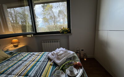 Accommodation:&nbsp;Alfa 7