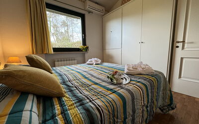 Accommodation:&nbsp;Alfa 7