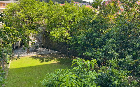 Corso Roma 15 Vacanze - Levanto: Leaf, Vegetation, Shrub, Garden, Spring, Woody Plant, Shade, Landscaping, Backyard, Walkway