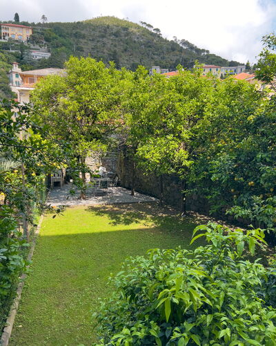 Corso Roma 15 Vacanze - Levanto: Green, Leaf, Vegetation, Shrub, Garden, Groundcover, Spring, Landscaping, Backyard, Yard