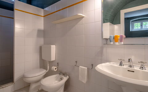Passignano: Bathroom, Bathroom Sink, Plumbing Fixture, Wall, Sink, Toilet Seat, Flooring, Toilet, Tap, Floor