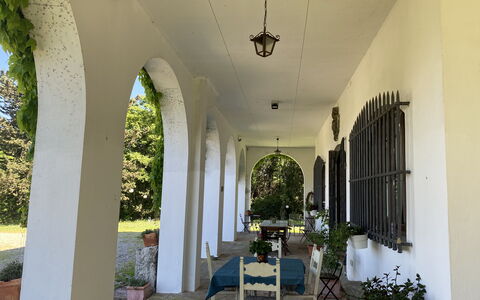 Villa Albertina: Arch, Column, Door, Hacienda, Shade, Arcade, Porch, Estate, Houseplant, Yard