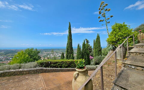 Uno Sguardo sul Mare: Landscape, Landscaping, Evergreen, Botanical Garden, Pine Family
