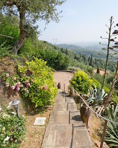 Uno Sguardo sul Mare: Vegetation, Shrub, Landscape, Plant Community, Garden, Groundcover, Walkway, Trail, Botanical Garden