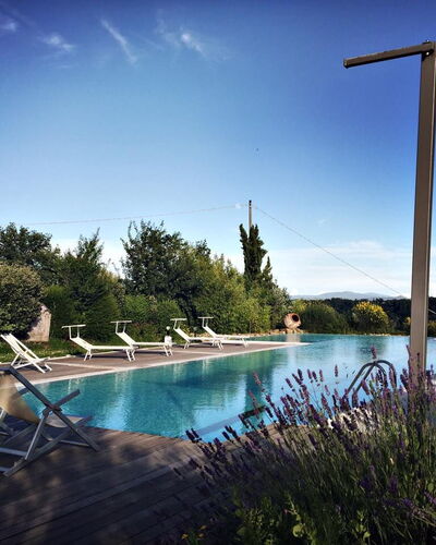 Il Canto Del Maggio: Swimming Pool, Landscaping, Garden, Outdoor Furniture, Eco Hotel, Resort, Villa, Backyard, Evergreen