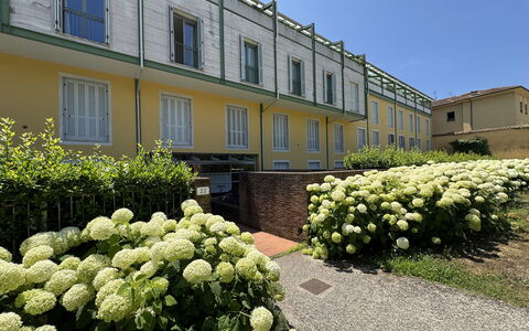 Ai Cantici: Shrub, Garden, Landscaping, Shade, Hedge, Yard, Courtyard, Estate, Lawn, Backyard