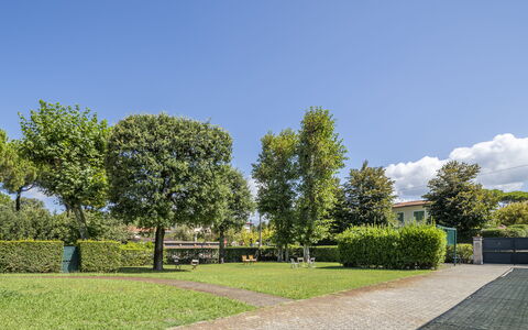 Attico Marino: Green, Grass, Shrub, Public Space, Garden, Groundcover, Lawn, Shade, Hedge, Landscaping