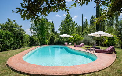 Casa La Cedrina, Pool, Lornano: Blue, Swimming Pool, Garden, Shade, Outdoor Furniture, Landscaping, Hacienda, Estate, Eco Hotel, Yard