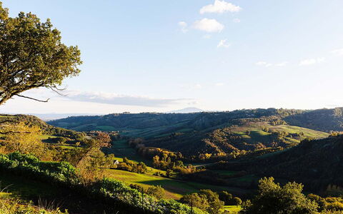 Villa Sassinoro: Mountainous Landforms, Green, Hill, Nature, Natural Landscape, Vegetation, Mountain, Grassland, Highland, Landscape