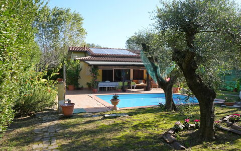 La Sevillana: Home, Garden, Backyard, Hacienda, Shade, Yard, Cottage, Estate, Landscaping, Farmhouse