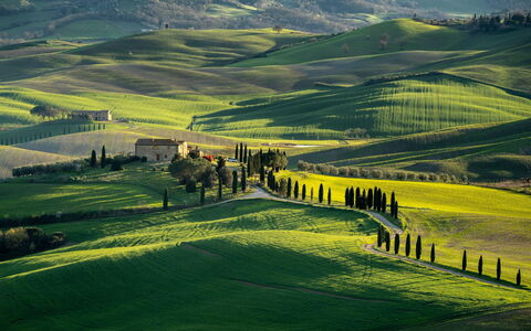 Oliveto del Cantarello: Grass, Natural Landscape, Hill, Grassland, Landscape, Highland, Field, Plain, Rural Area, Meadow