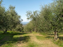 Villa Costa al Bagno