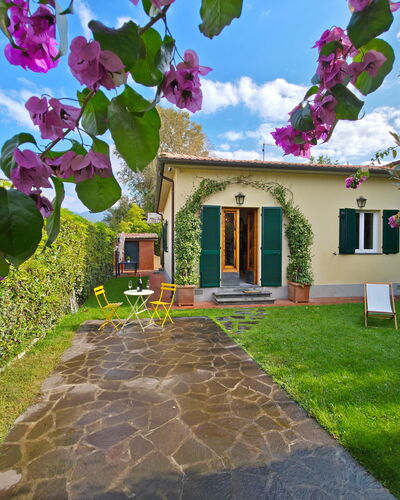 Villetta Tonfano: Shrub, Garden, Landscaping, Yard, Backyard, Lawn, Shade, Flowerpot, Hacienda