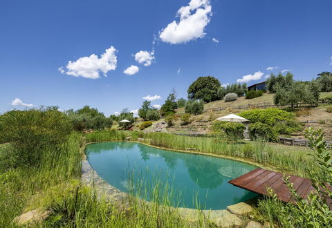 Aqua Bio Retreat: Blue, Natural Landscape, Pond, Garden, Swimming Pool, Reflection, Landscaping, Reservoir, Eco Hotel
