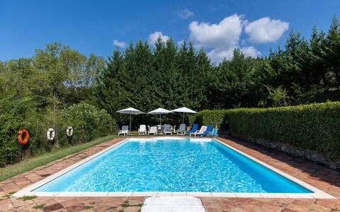 Mulino di Carpineto with Pool Gaiole in Chianti: Swimming Pool, Resort, Outdoor Furniture, Eco Hotel, Garden, Shade, Sunlounger, Landscaping, Thermae, Hacienda