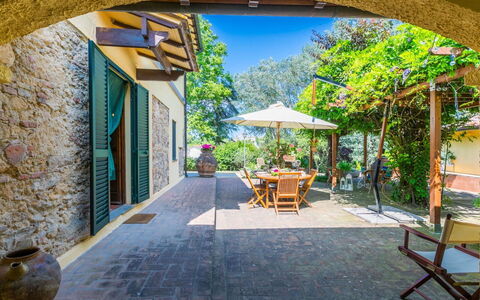 Podere la Botte, Pool, Lari: Door, Flowerpot, Flagstone, Garden, Shade, Houseplant, Landscaping, Hacienda, Cobblestone, Yard