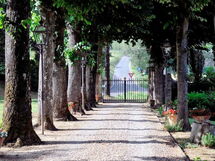 Villa Medicea Lo Sprocco