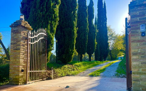Villa Vindelbono: Garden, Landscaping, Walkway, Shadow, Evergreen