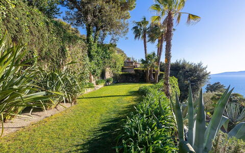 La Terrazza sul Mare: Blue, Green, Vegetation, Sea, Shrub, Ocean, Coast, Coastal And Oceanic Landforms, Plant Community, Garden