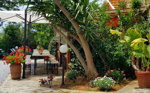 Appartamento Ibisco Seaside and Pool: Green, Flowerpot, Garden, Furniture, Shade, Outdoor Furniture, Backyard, Houseplant, Chair