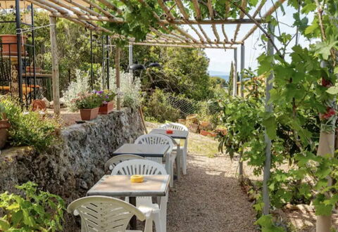 La Torre sul Ponte, Seaview, Garden: Shade, Garden, Agriculture, Plantation, Chair, Outdoor Furniture, Outdoor Structure, Outdoor Table