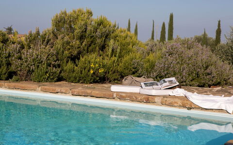 Podere Sangiovese, Pool and View in Chianti: Landscaping, Evergreen, Swimming Pool, Pine Family
