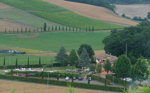 Tenuta Borgo al Sole: Rural Area, Plantation, Field, Agriculture, Village, Farm, Landscaping, Evergreen