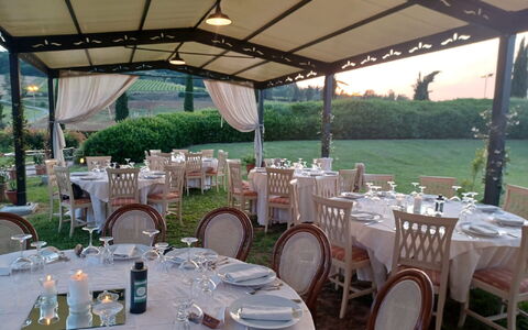 Tenuta Borgo al Sole: Event, Furniture, Garden, Lawn, Tablecloth, Canopy, Outdoor Structure, Yard, Shade, Backyard