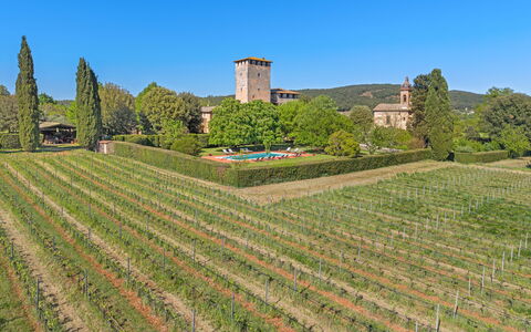 Medieval Castle Living: Vineyards, Swimming Pool &: Plantation, Agriculture, Garden, Vineyard, Hedge, Farm