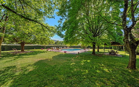 Medieval Castle Living: Vineyards, Swimming Pool &: Tree, Nature, Leaf, Branch, Garden, Sunlight, Shade, Lawn, Park, Landscaping