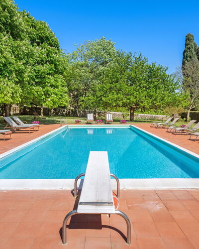 Medieval Castle Living: Vineyards, Swimming Pool &: Shrub, Garden, Swimming Pool, Estate, Hacienda, Shade, Landscaping, Lawn, Villa, Resort