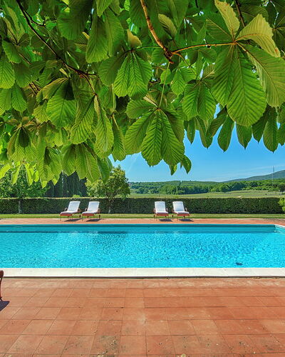 Medieval Castle Living: Vineyards, Swimming Pool &