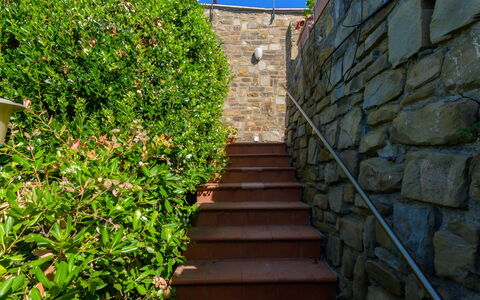 Montparnasse: Shrub, Garden, Brick, Landscaping, Walkway, Flagstone, Hedge, Cobblestone