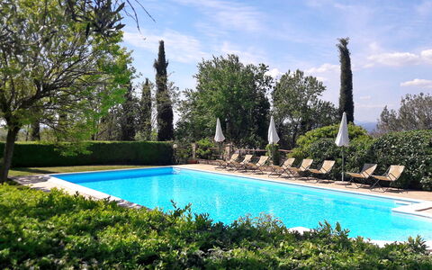 Podere Peteglia: Swimming Pool, Shrub, Resort, Garden, Landscaping, Outdoor Furniture, Hacienda, Estate, Eco Hotel, Shade