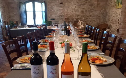 Podere Peteglia: Furniture, Bottle, Restaurant, Chair, Wine, Houseplant, Glass Bottle, Barware, Kitchen & Dining Room Table