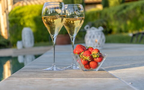 Podere Peteglia: Stemware, Tableware, Drinkware, Wine Glass, Barware, Wine, Champagne