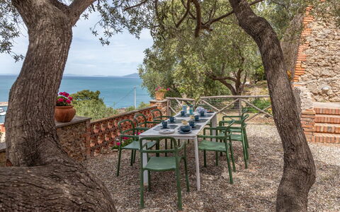 Villa Fior di Roccia: Outdoor Furniture, Garden, Shade, Outdoor Table, Chair, Landscaping, Hacienda, Tropics, Backyard