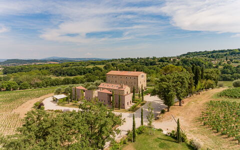 Poggio Mori 20: Landscape, Shrub, Rural Area, Land Lot, Estate, Human Settlement, Plantation, Hacienda, Garden, Landscaping